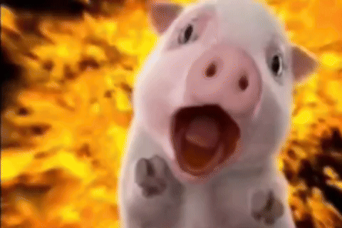 faster gif